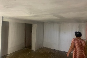 2-gospodaria-1-dupa-renovare